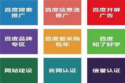 成功SEM托管案例：流量与转化双赢